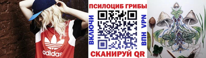 Галлюциногенные грибы мицелий  Купить  Глазов 